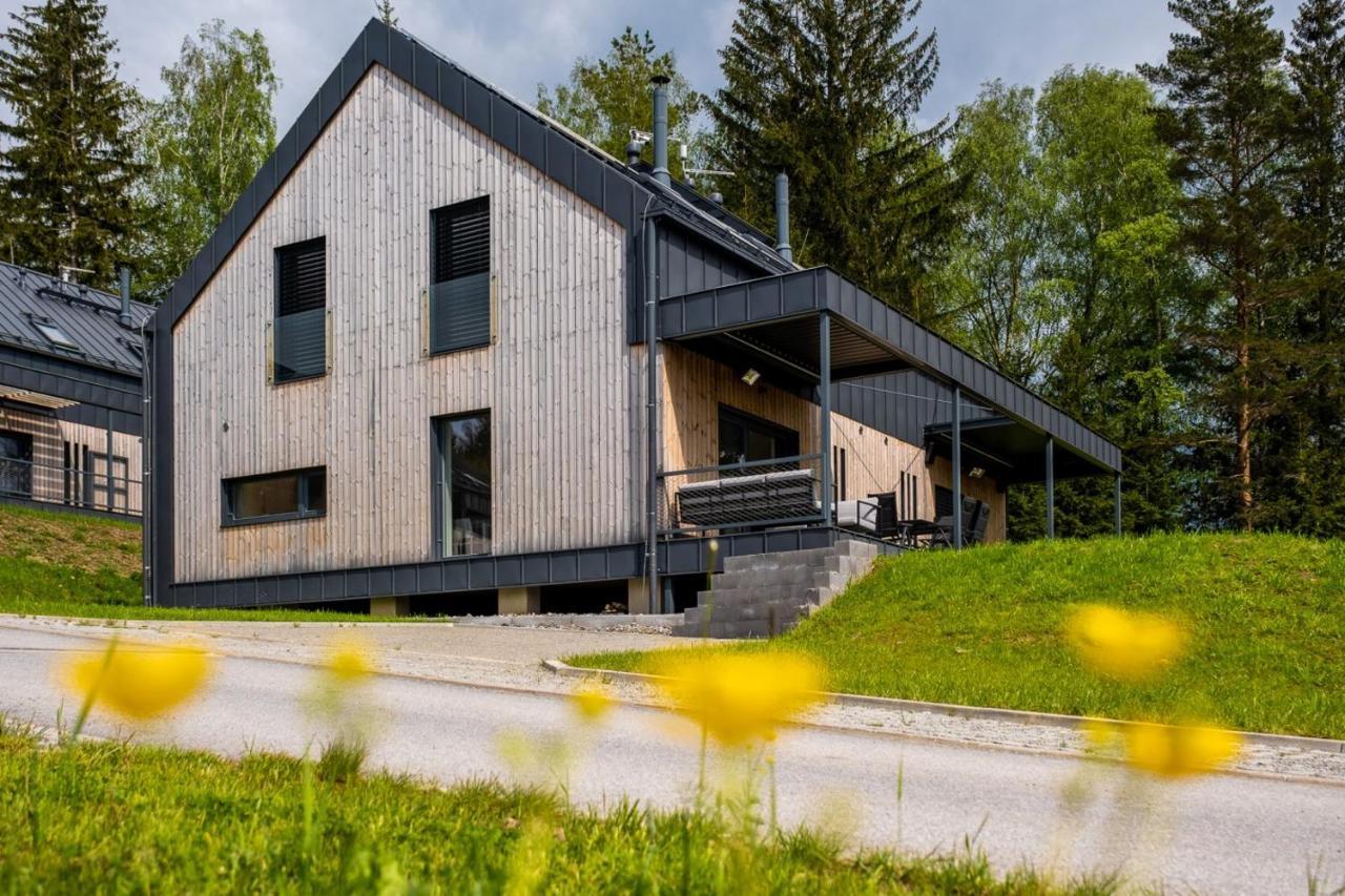 Holiday House U Hajenky 11P Lipno Home Ліпно-над-Влтавою Екстер'єр фото